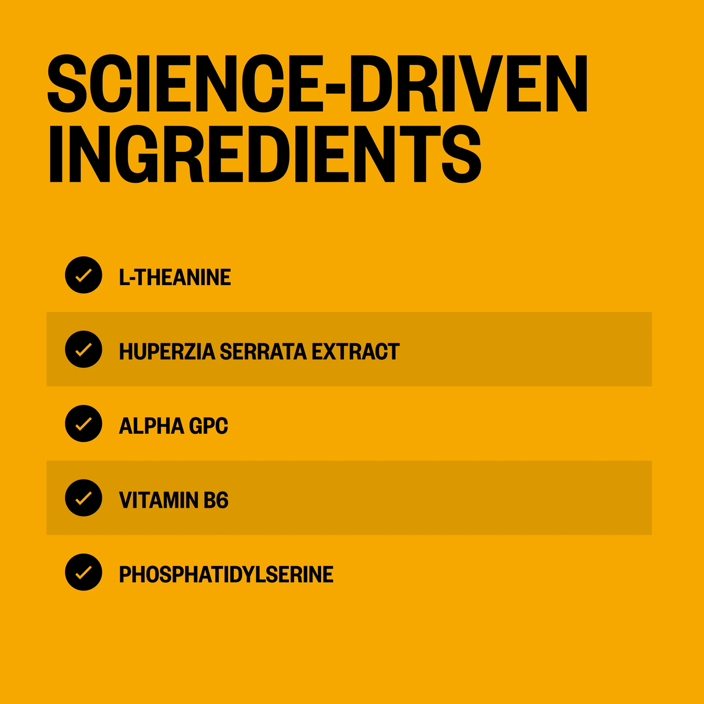 Alpha Brain - for Memory & Focus