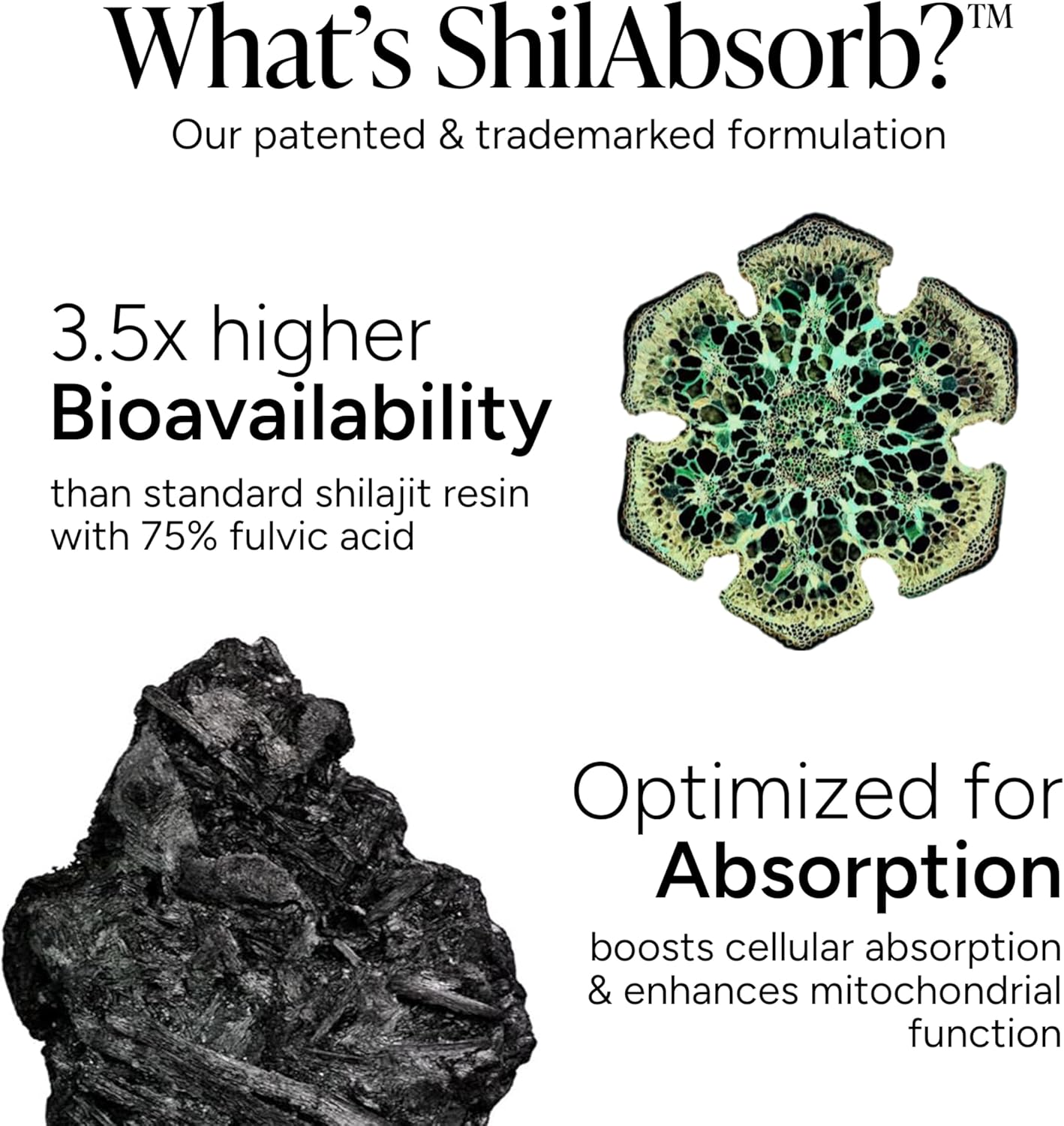 Alpha Shilajit Gummies - Last Longer in Bed