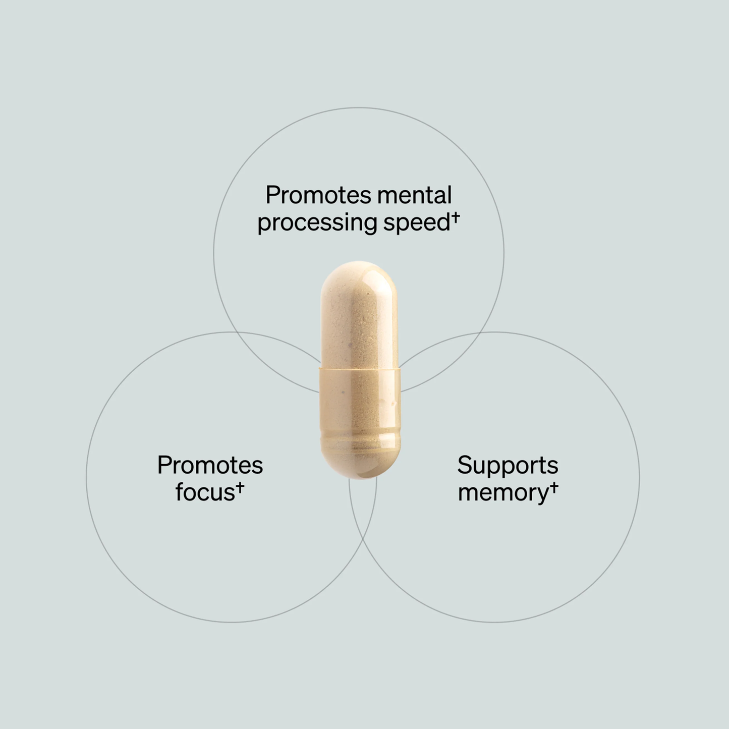 Alpha Brain - for Memory & Focus